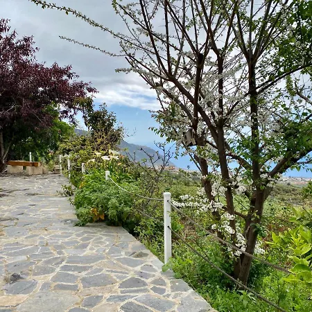 Casa Rural Finca Tirus ロス・レアレホス