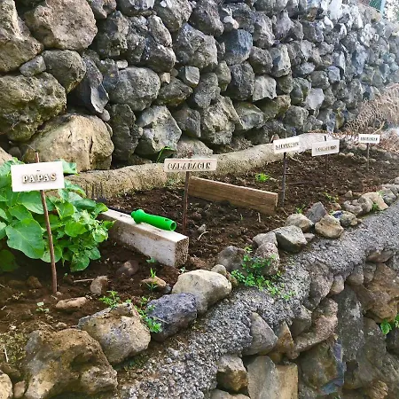 シャレー Casa Rural Finca Tirus ロス・レアレホス